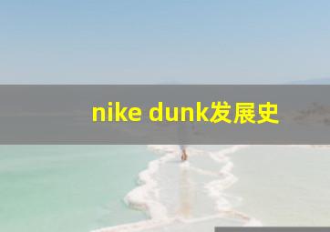 nike dunk发展史